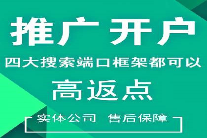 SEM广告案例：精准定位实现客户转化