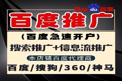 SEM托管公司成功案例：助力企业品牌提升